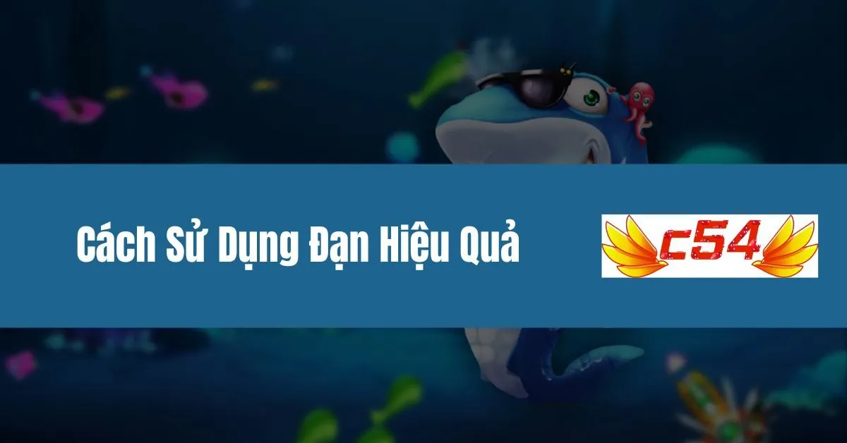 Cách Sử Dụng Đạn Hiệu Quả