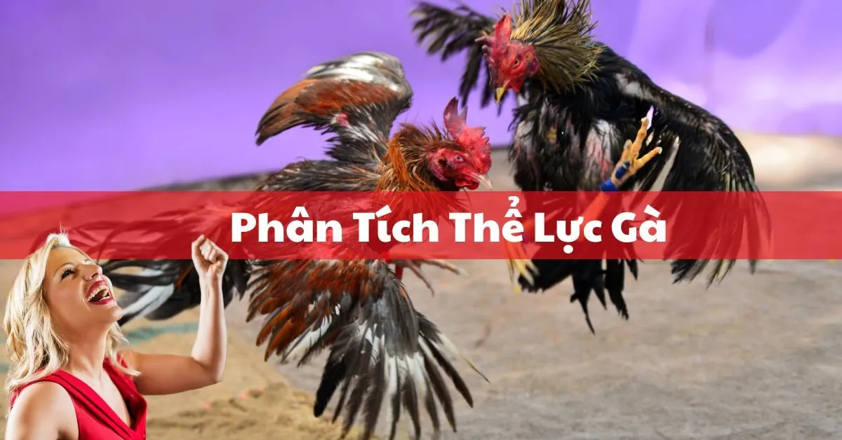 Phân Tích Thể Lực Gà